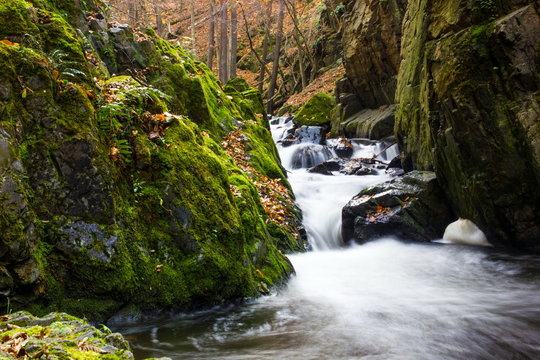 Autumn creek in bohemian forest, Czech Republic.