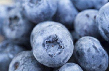 ripe berries blueberry