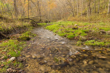Autumn Creek In The Woods