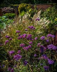 Obraz premium garden