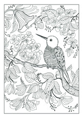 coloring book (20 pages ) , Bird and flowers page 14