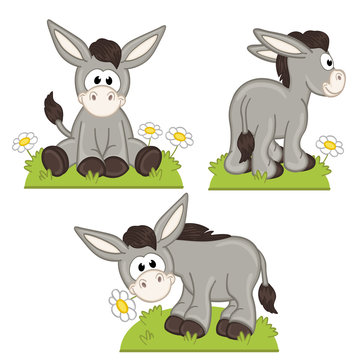 set of isolated donkey in meadow - vector illustration, eps
