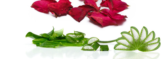 Aloe vera and rose
