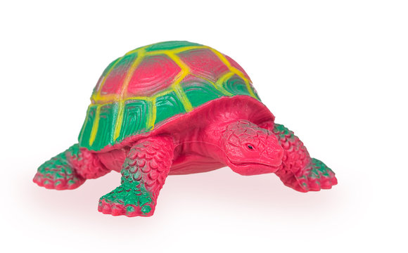 Toy Turtle