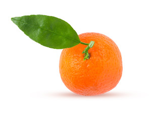 tangerine or mandarin fruit with green leaf