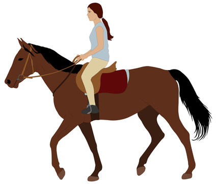 girl riding a horse - vector illustration