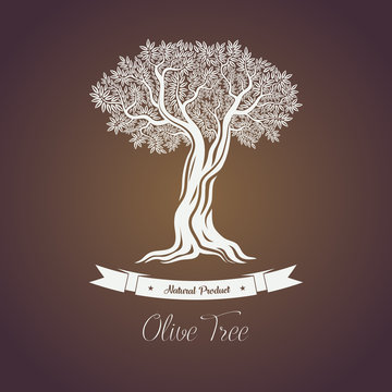 Natural oil tree logo for olive grove.