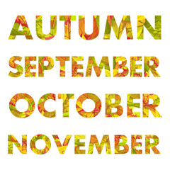 Autumn Months Names Vector Illustrations 