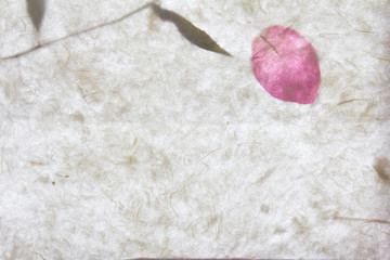 White mulberry paper with pink petal texture background