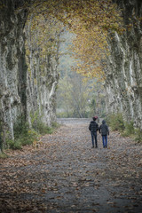 Obraz premium Friends walking on a country road in rural area surrounded by trees in autumn