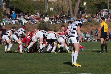 Rugby players in action