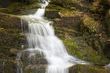 Fototapeta na wymiar Fließendes Wasser in den Birks of Aberfeldy, Schottland