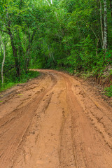 Tire tracks on a muddy road in the countryside