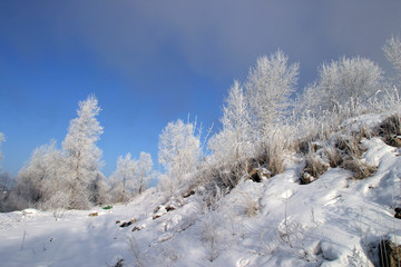 winter landscape