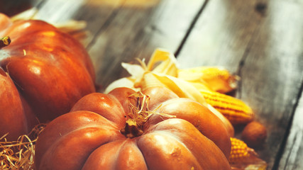 Thanksgiving Day. Autumn Thanksgiving pumpkins over wooden background