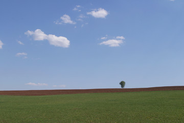Obraz na płótnie Canvas summer landscape