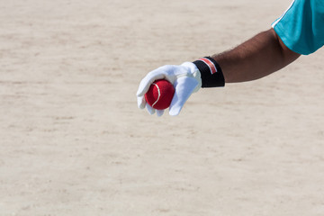 Obraz premium Taking the catch of red ball with hands