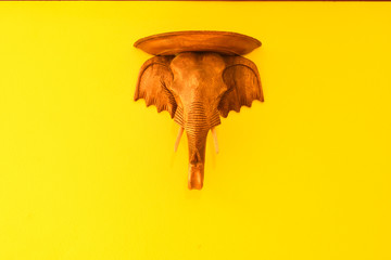 Elephant Head Model from wooden on yellow concrete wall