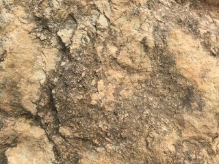 texture from stone