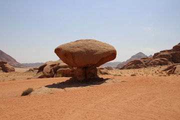 Wadi Rum Trip