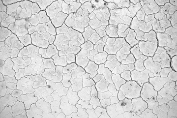 Crack soil texture background
