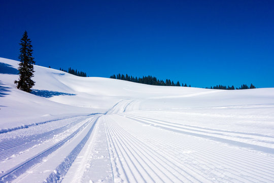 Winterlandschaft mit Loipe