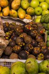 Mangostin Garcinia mangostana
