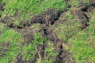 Dry soil with green grass texture background