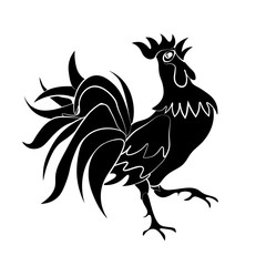 Image of black cock come on a white background. Isolate illustration