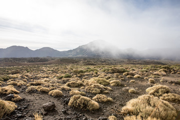 La vallée Ucanca (Tenerife, Espagne)