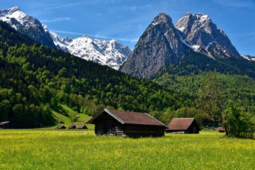 Berge und Wiesen bei Grainau