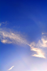 Fototapeta premium blue sky with cloud