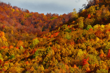 Fototapeta premium Colorful autumnal landscape