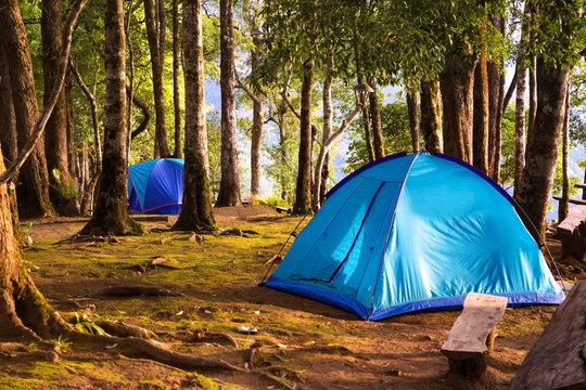 Two tents in the forest