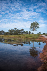 Trees and lake in savanna with blue sky