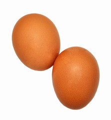 Two eggs on white background