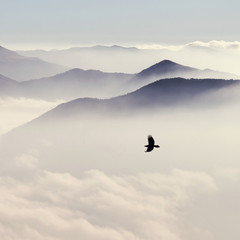 Sylwetki gór we mgle i ptak latający w ciepłej tonie - 126546824