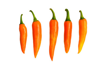 Orangr hot chili pepper isolated on a white background