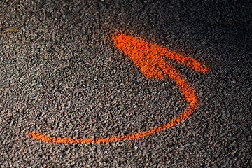 Arrow, left, painted in orange on a road