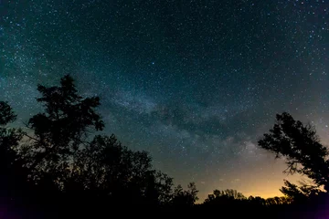 Foto op Canvas night sky in steppe © Pavlo Klymenko