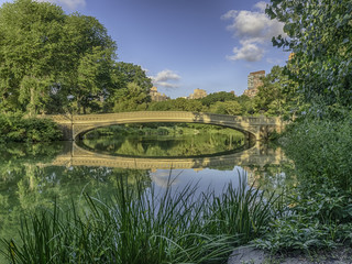 Bow bridge in early morning