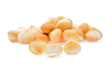 macadamia nuts isolated on white background
