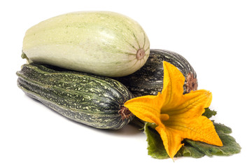 zucchini and squash with flower leaf isolated on white background