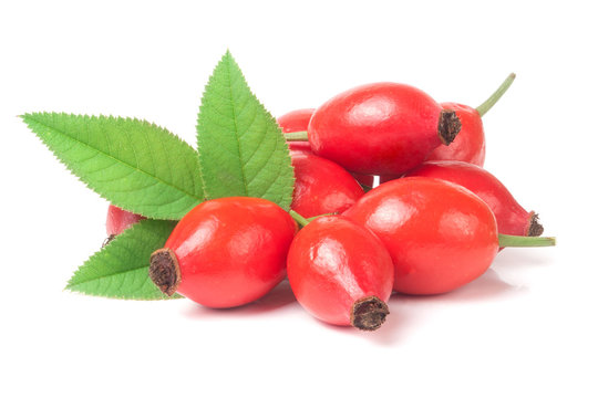 heap of fresh rose hip berry with leaves isolated on white background