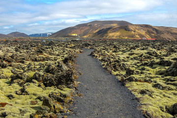The Lava field at Blue Lagoon geothermal spa in Iceland