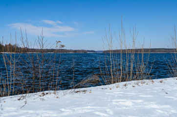 Snowy shore of Glienicke lake on Havel river