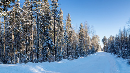 зимняя панорама заснеженного леса с проселочной дорогой, Россия, Урал