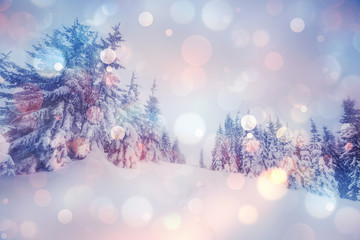 Obraz na płótnie Canvas Majestic winter landscape