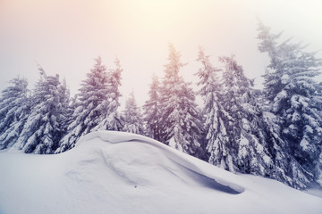 Majestic winter landscape