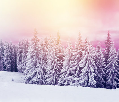 Fantastic winter scene